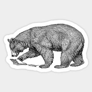 Mountain Bear Black Line Illustration Sticker